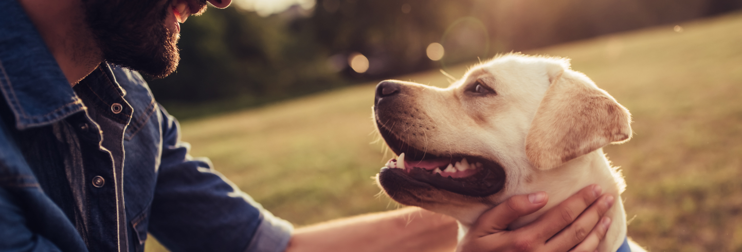 Veterinary care in Fontana