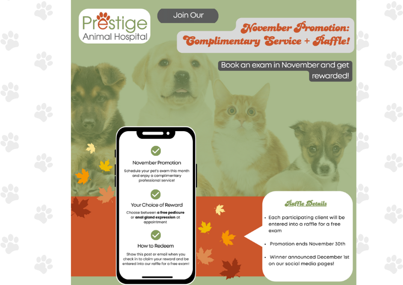 Carousel Slide 1: Book Today >